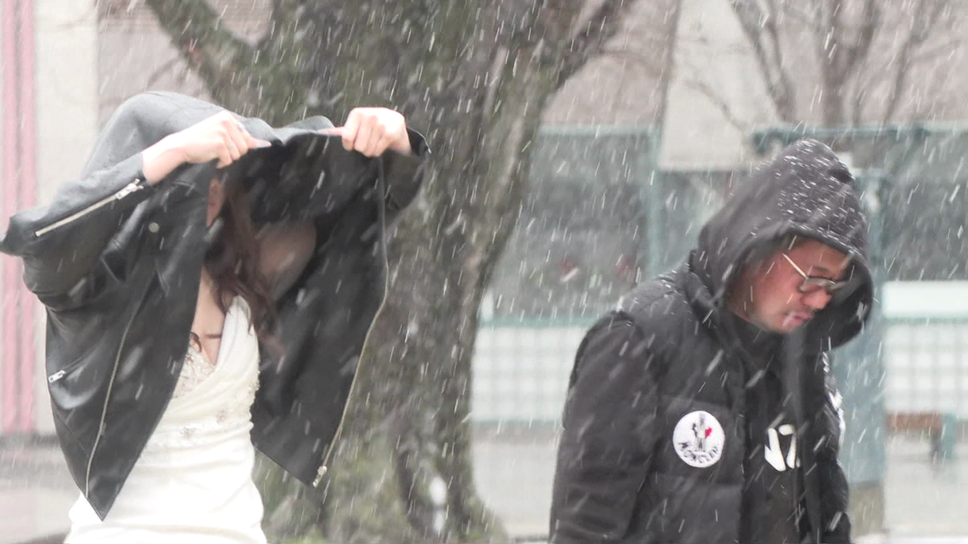 想定外の雪に困惑する様子も(帯広市)