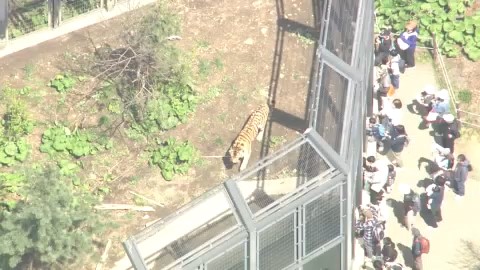 多くの家族連れなどでにぎわう円山動物園