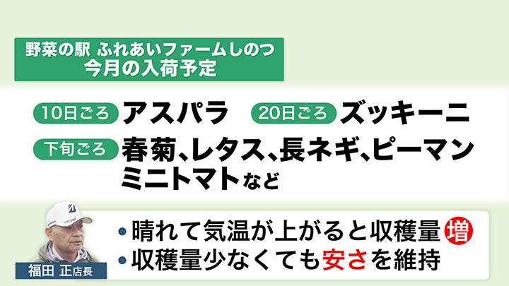 「野菜の駅ふれあいファームしのつ」5月の入荷予定