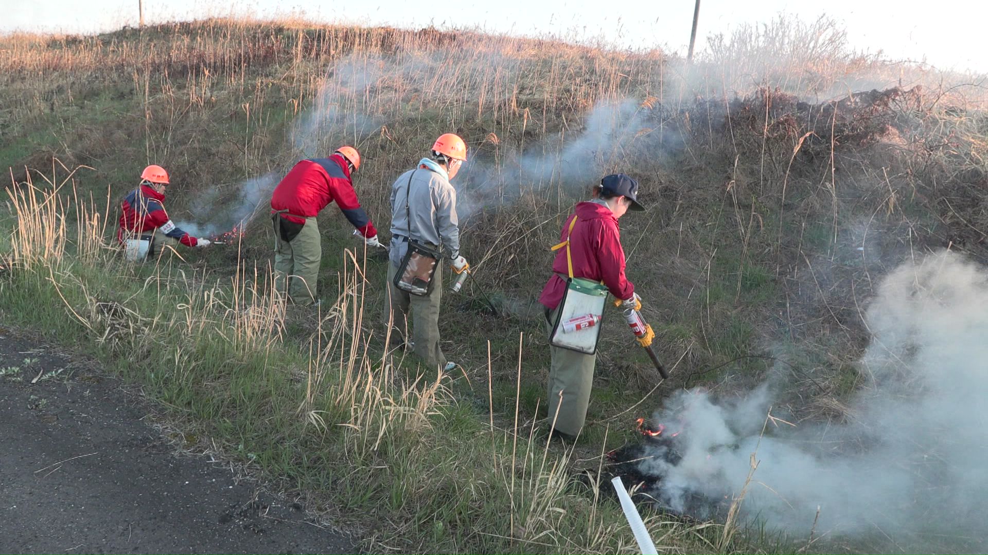 ガスバーナーを使って枯草を燃やしていく