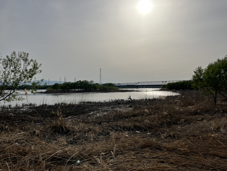 遺体が見つかった石狩川