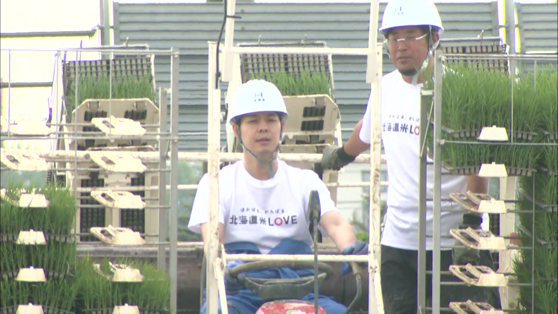 田植え機を運転する鈴木知事