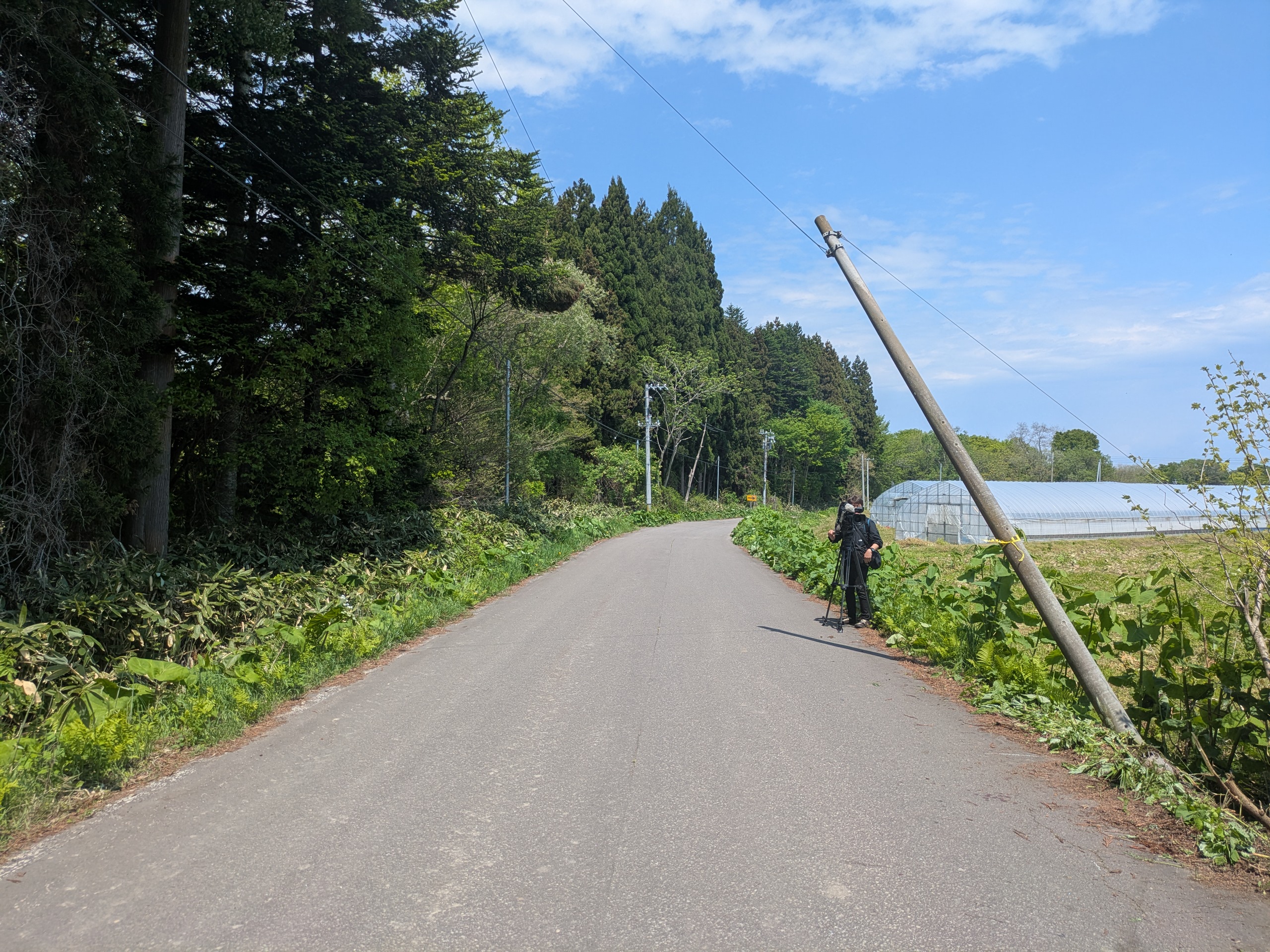 事故があった現場(八雲町)