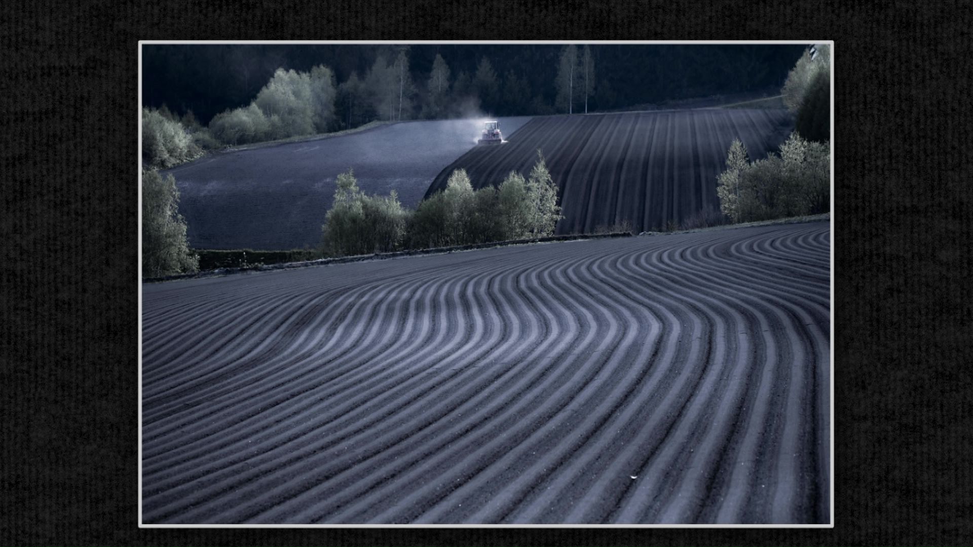 トラクターの耕した跡が印象的な一枚