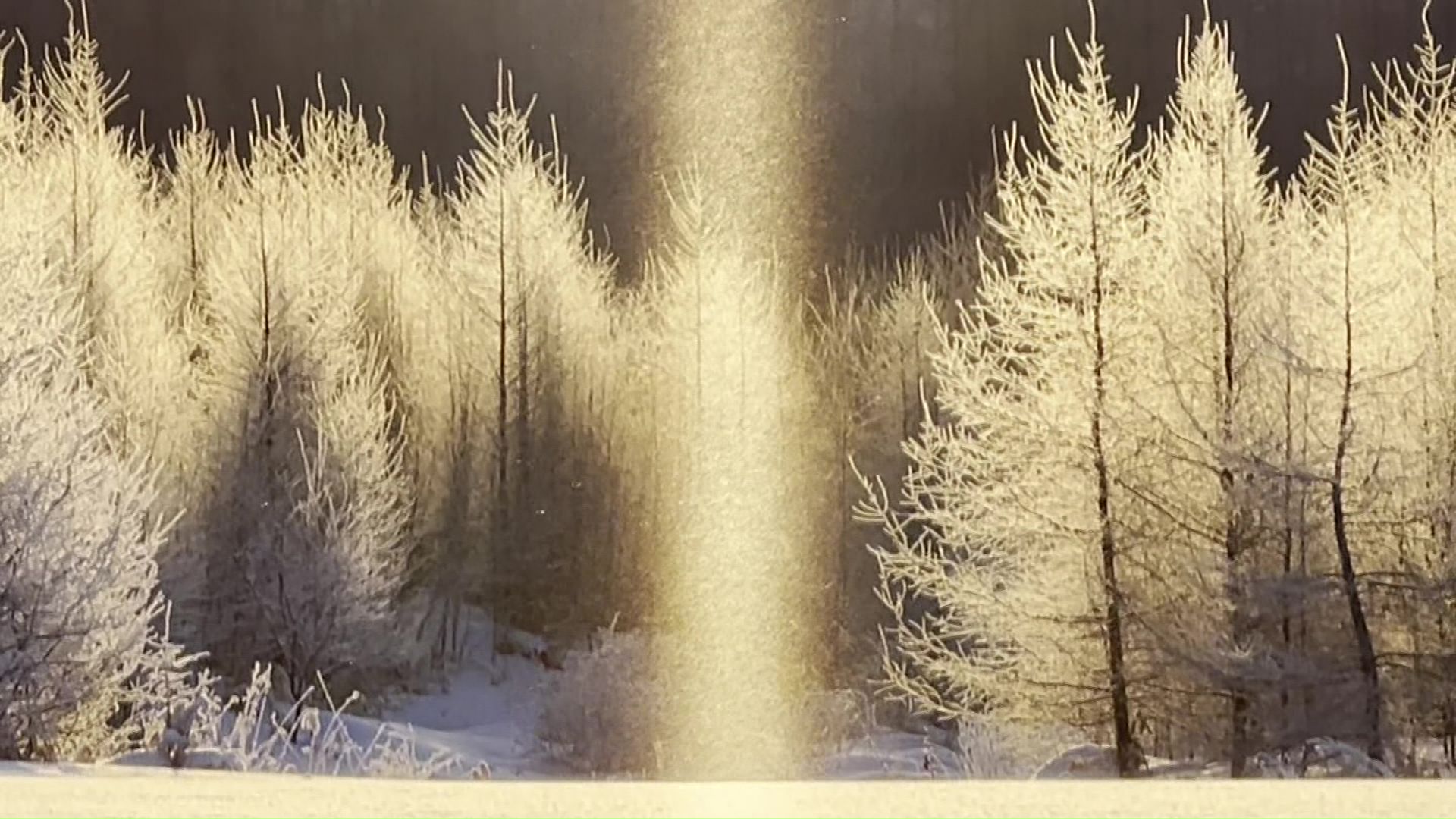 自然現象「サンピラー」が出現