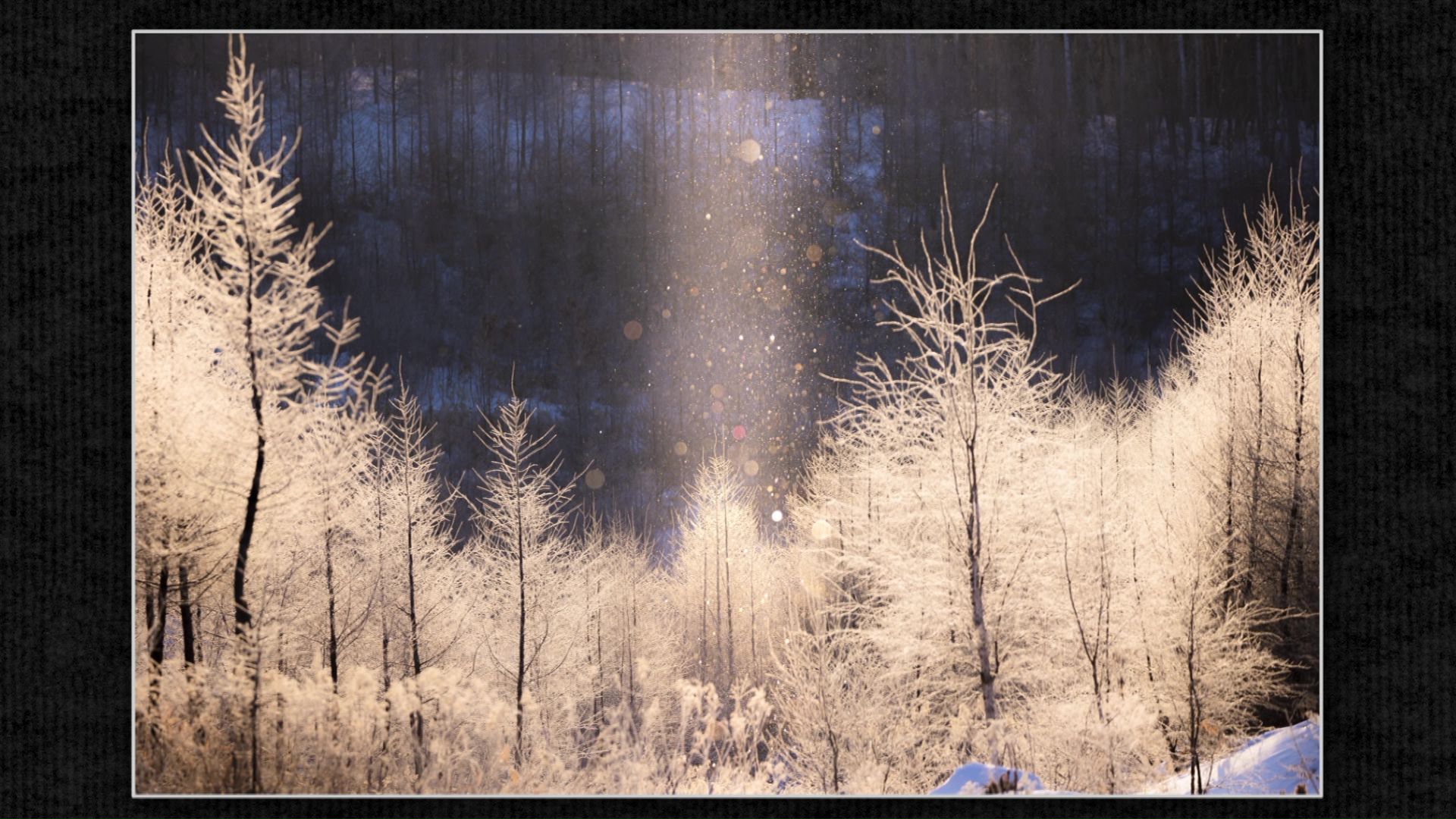 「樹氷に降り注ぐサンピラー」