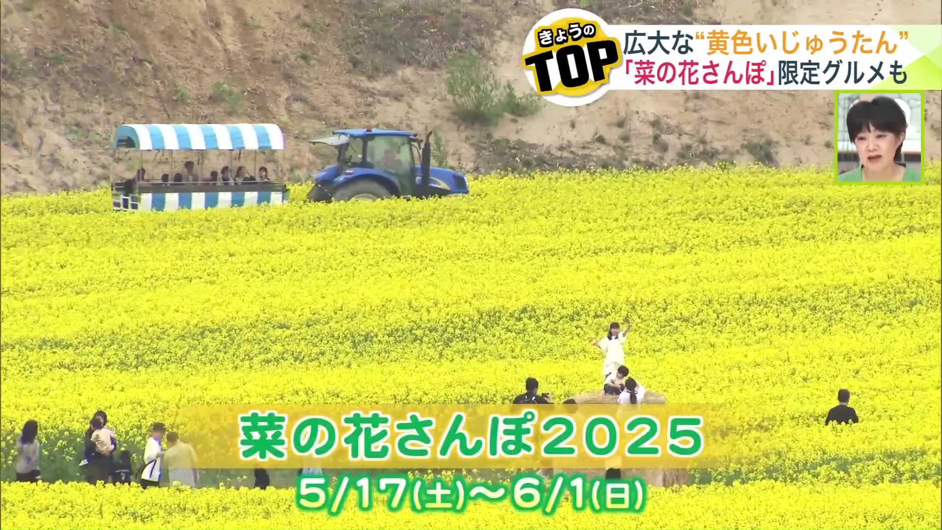 安平町の「菜の花さんぽ」