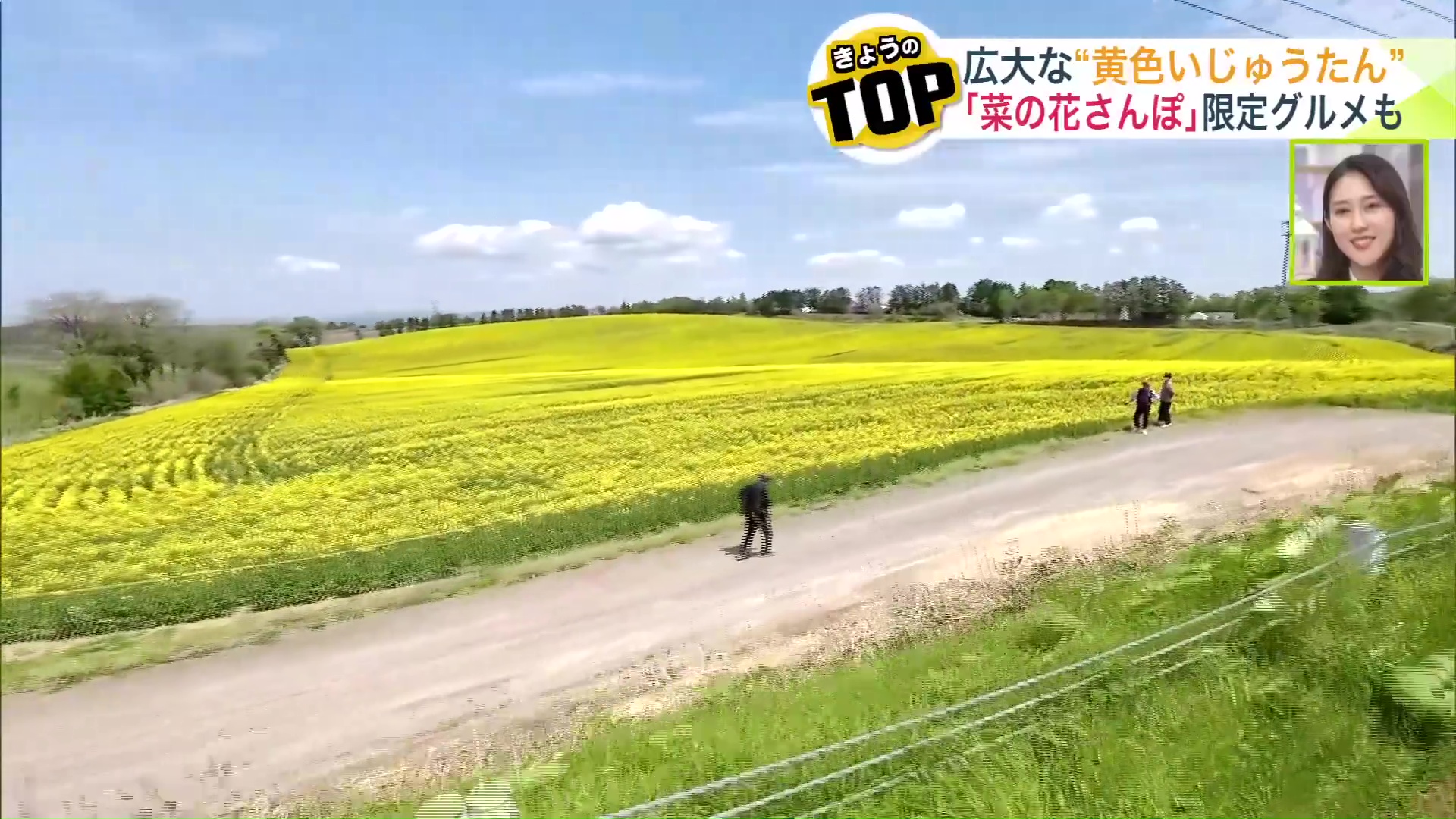 札幌ドーム2個分以上の広さ