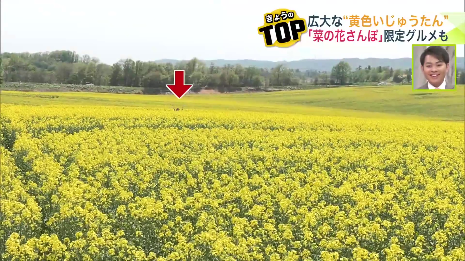 糸口アナウンサーが畑に入るとこのサイズ