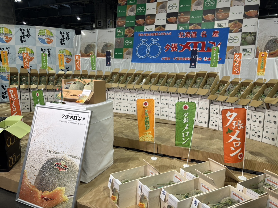 札幌市中央卸売市場で行われた夕張メロンの初競り