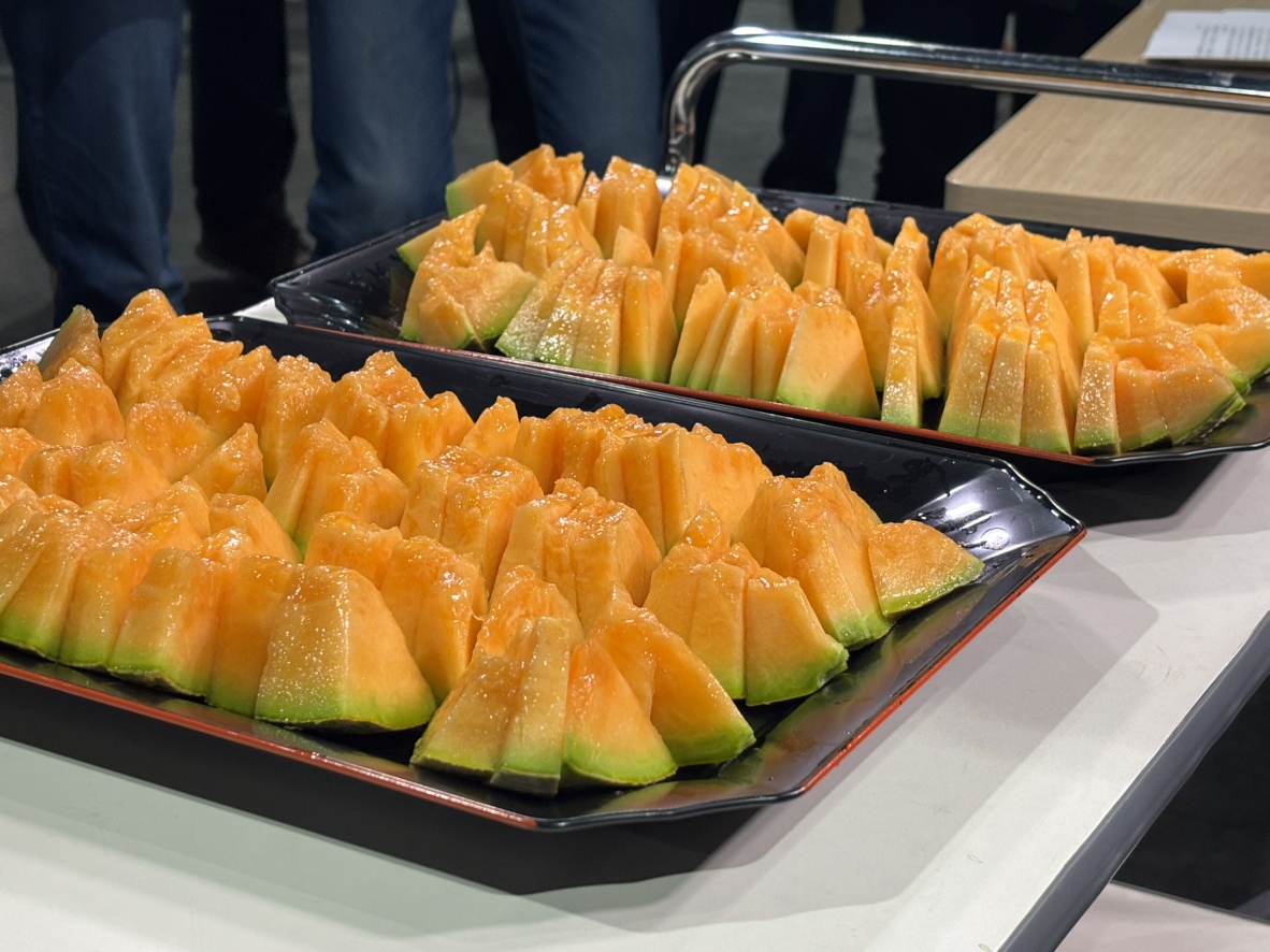 「本当においしい」農家も太鼓判を押す2025年産「夕張メロン」