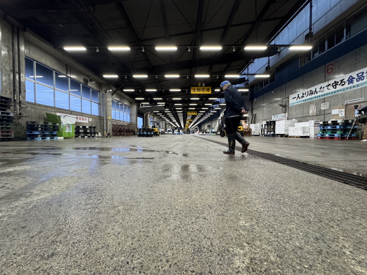 スルメイカの水揚げがなくセリが開かれない函館市水産物地方卸売市場（函館市）