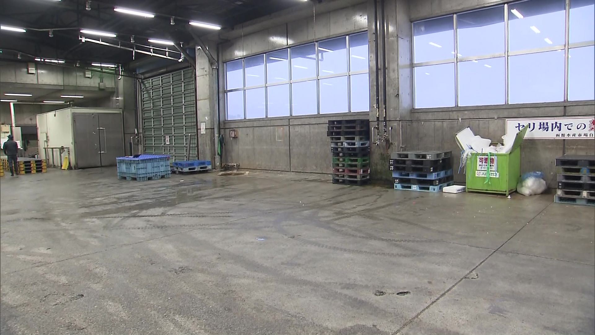 中止されたスルメイカの初競り