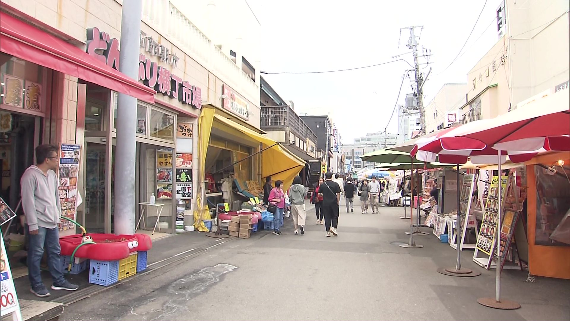 イカの街“函館”観光にも影響