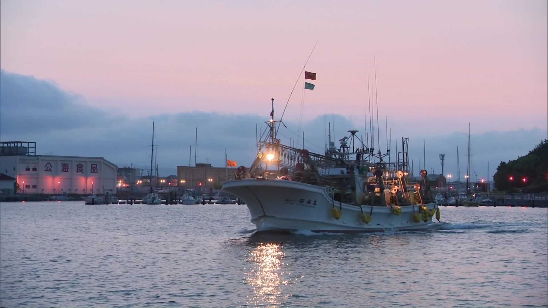 漁を終えたイカ釣り漁船
