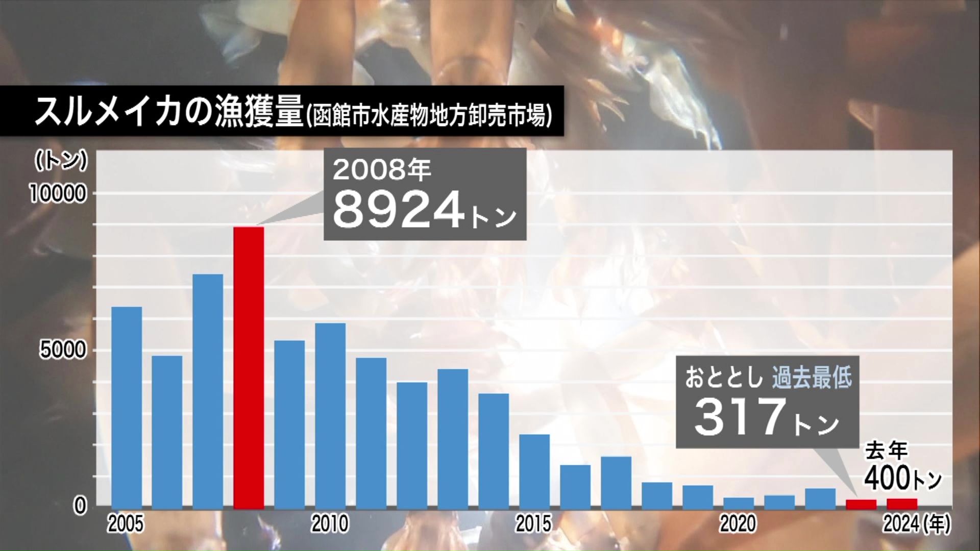 スルメイカの漁獲量（函館市水産物地方卸売市場）