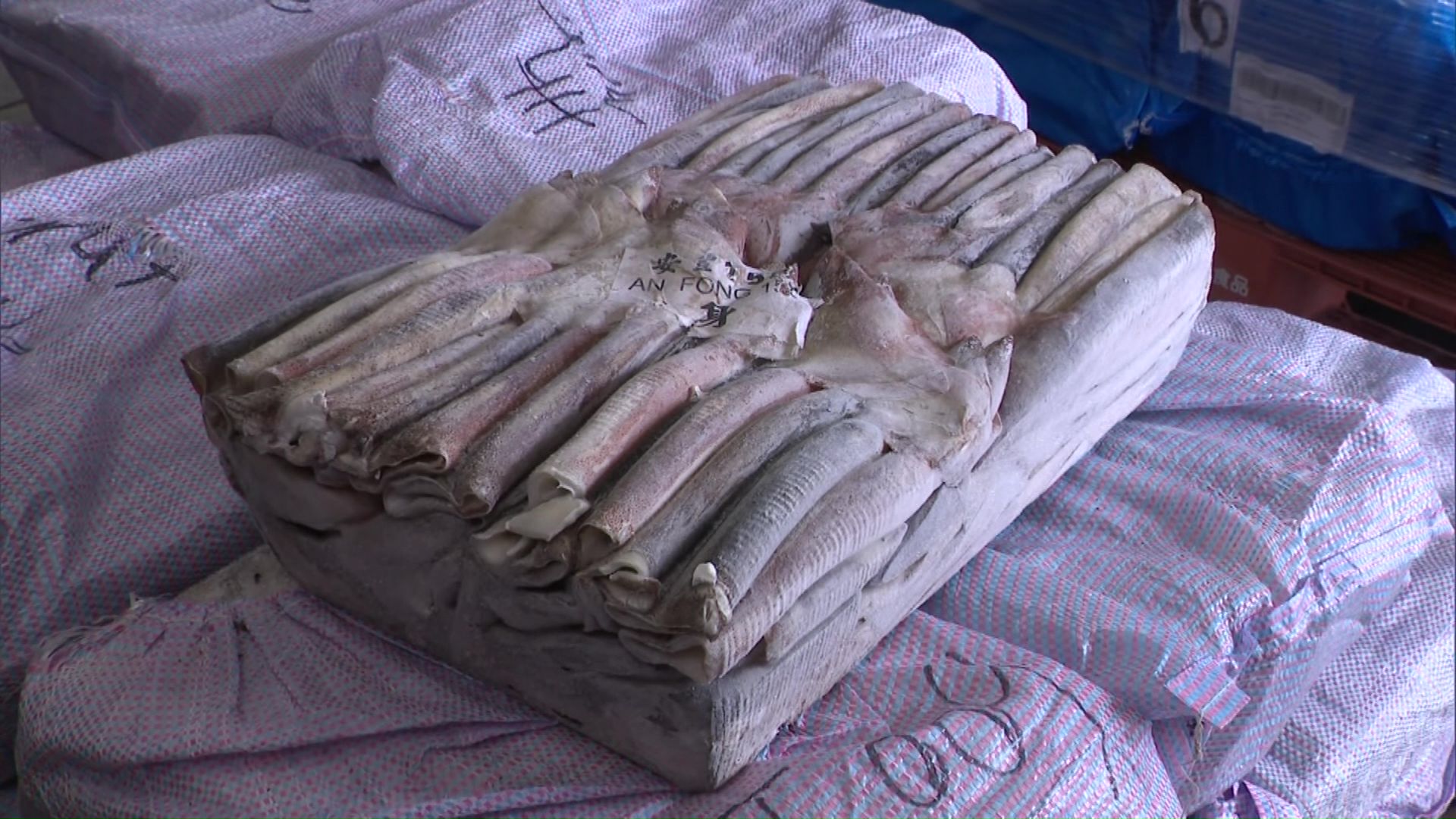 5年ほど前から外国産のイカを輸入