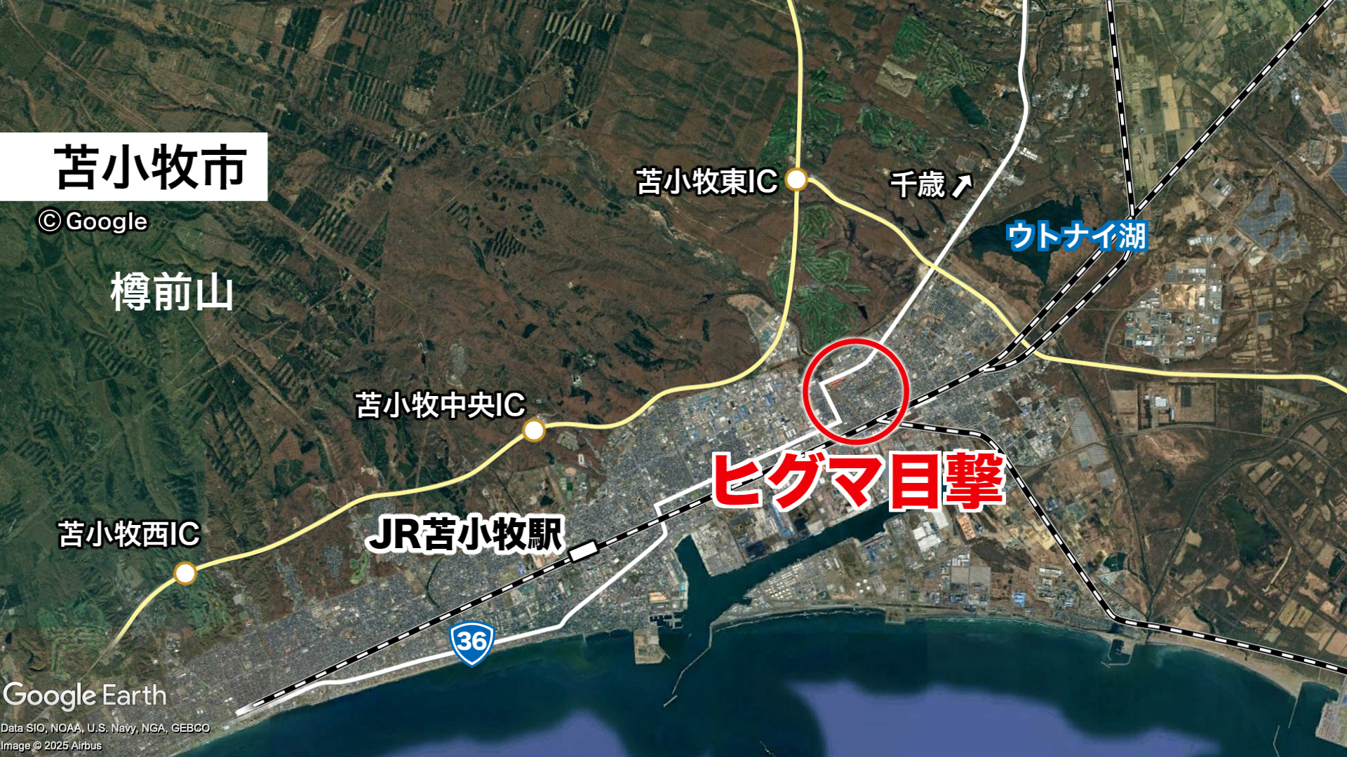 クマが目撃されたのは苫小牧市の住宅街