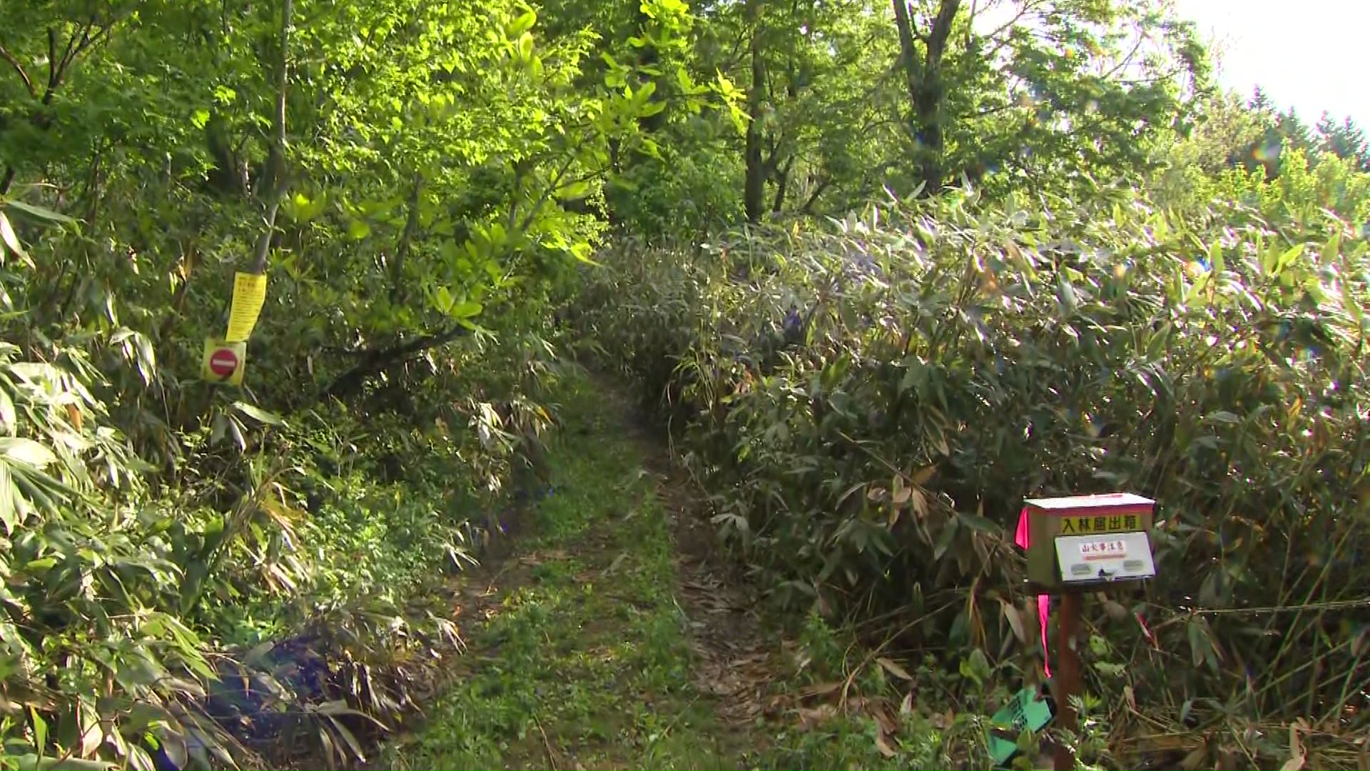 男性「帰る方向が分からなくなった」