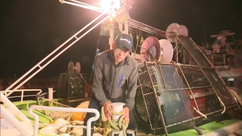 ようやく初水揚げ…だが漁師たちの表情は曇ったまま