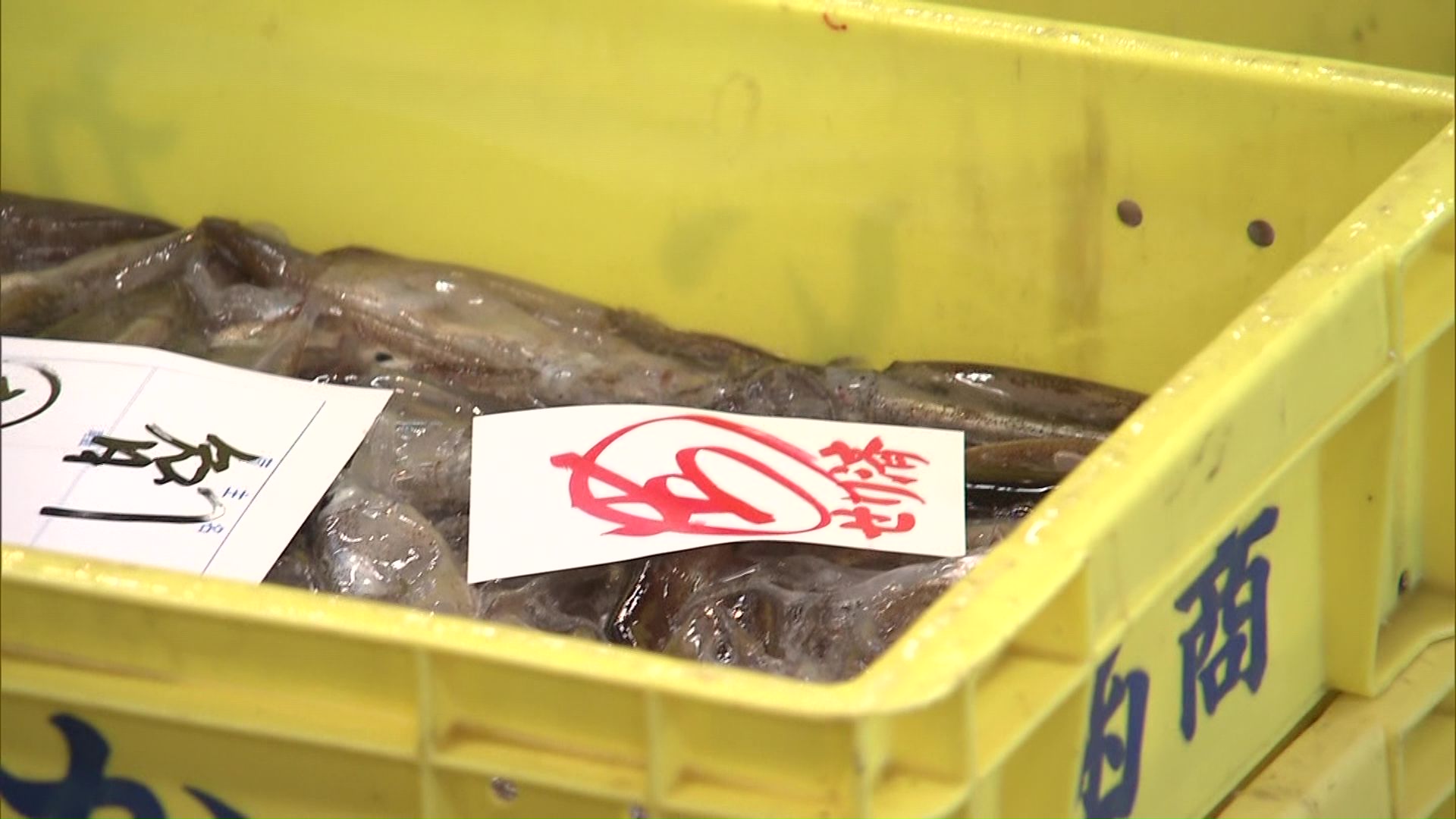 1キロあたり最高8300円に