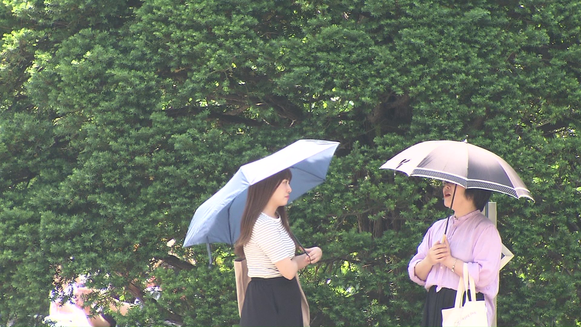 札幌も真夏並みの暑さに