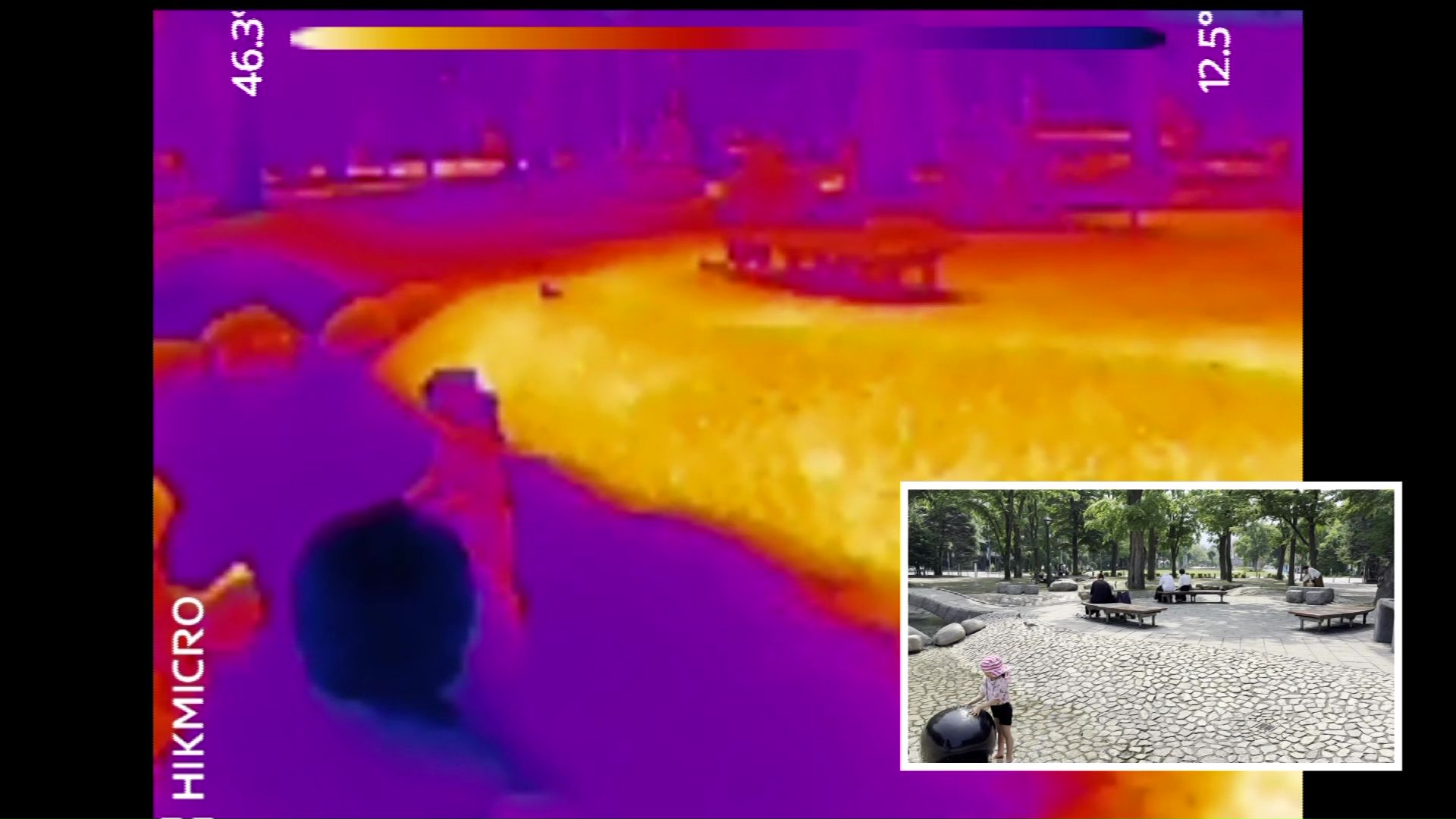 黄色く表示されている日向の地面は40℃以上