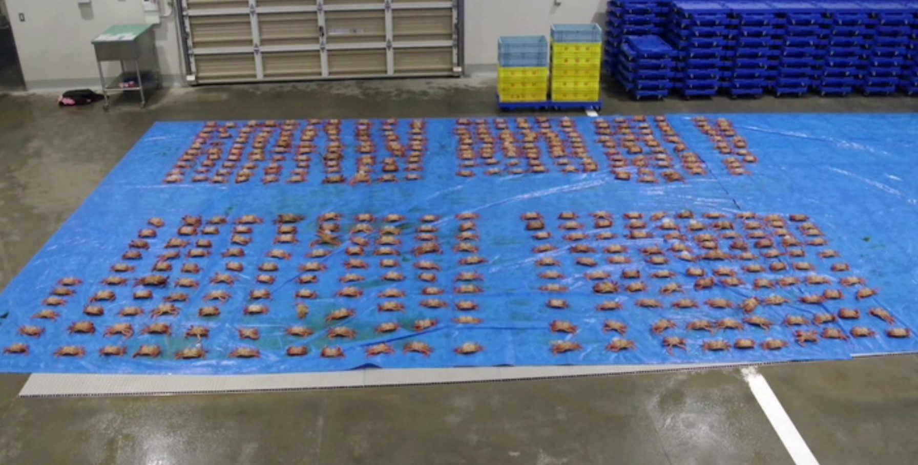 別の漁船も毛ガニを密漁（提供：函館海上保安部）