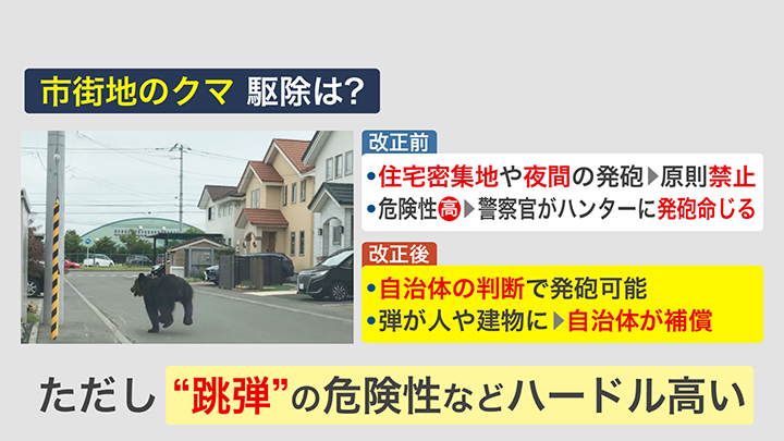 市街地でのクマ駆除・法改正前と後の比較