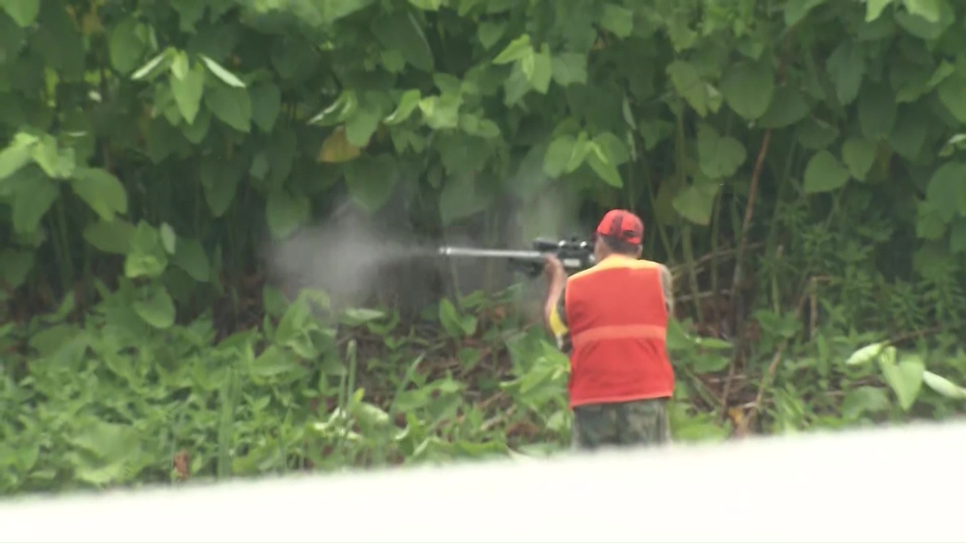 クマに猟銃を発砲する猟友会
