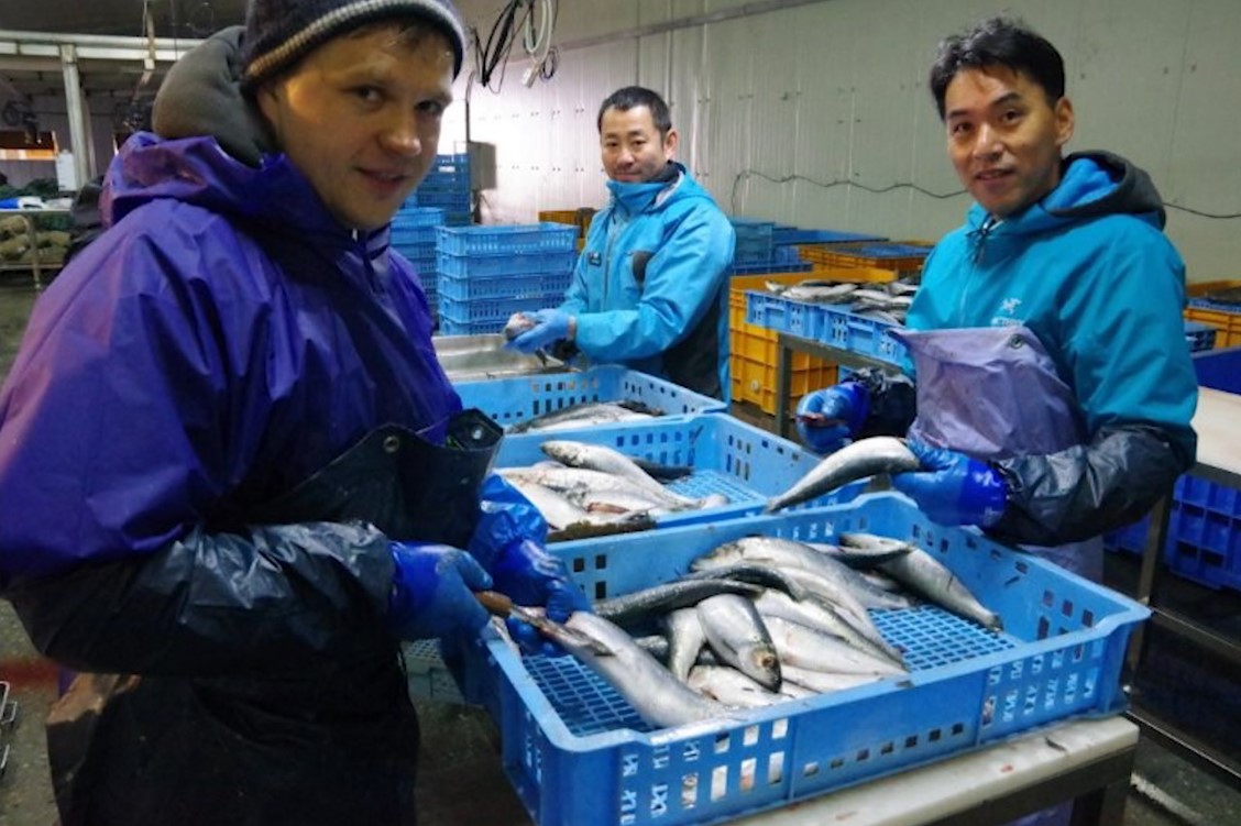 市場依存から転換し事業を順調に拡大