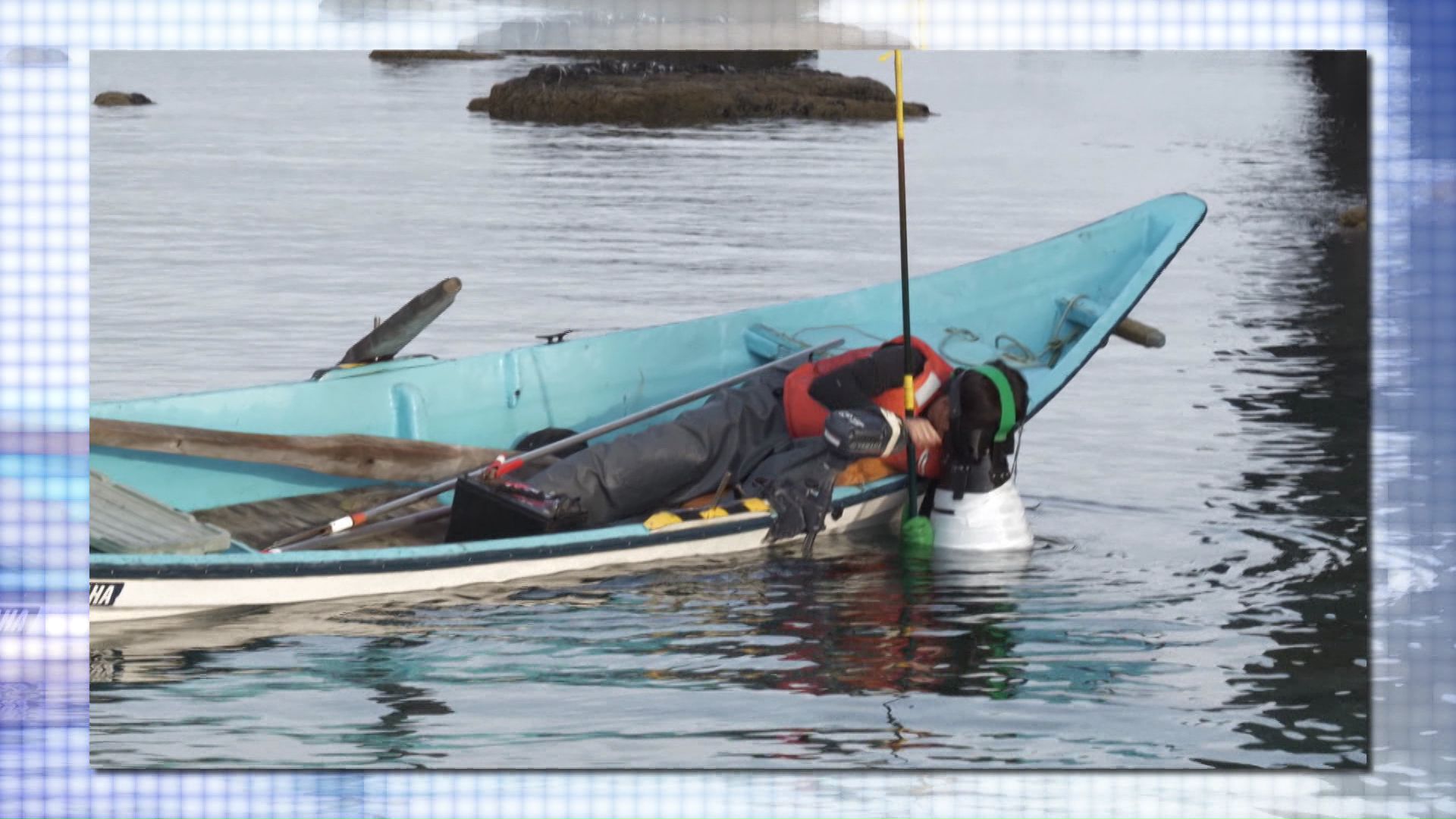 ウニ漁に出られる回数が減っている