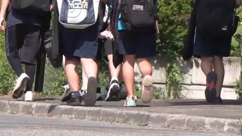 現場は小学校の通学路の近く