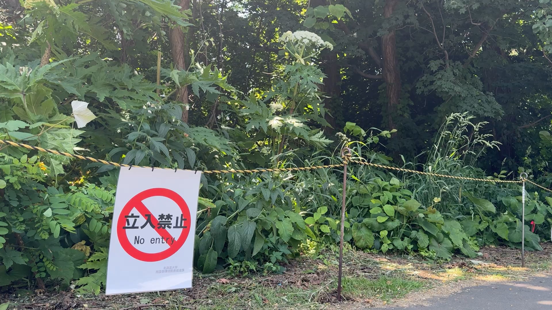 現場は立ち入り禁止に（撮影：視聴者）