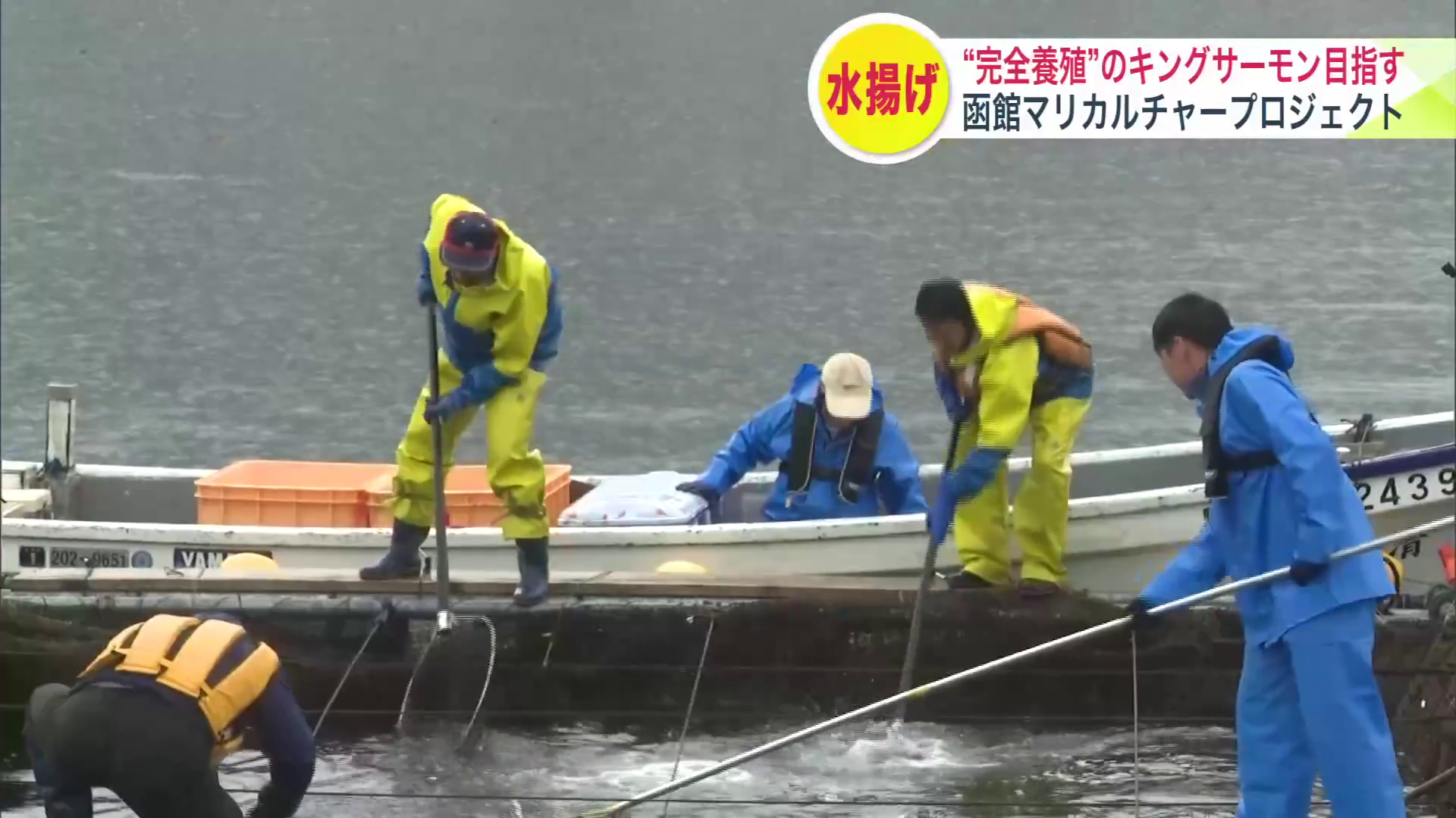 市や北大などで構成「函館マリカルチャープロジェクト」