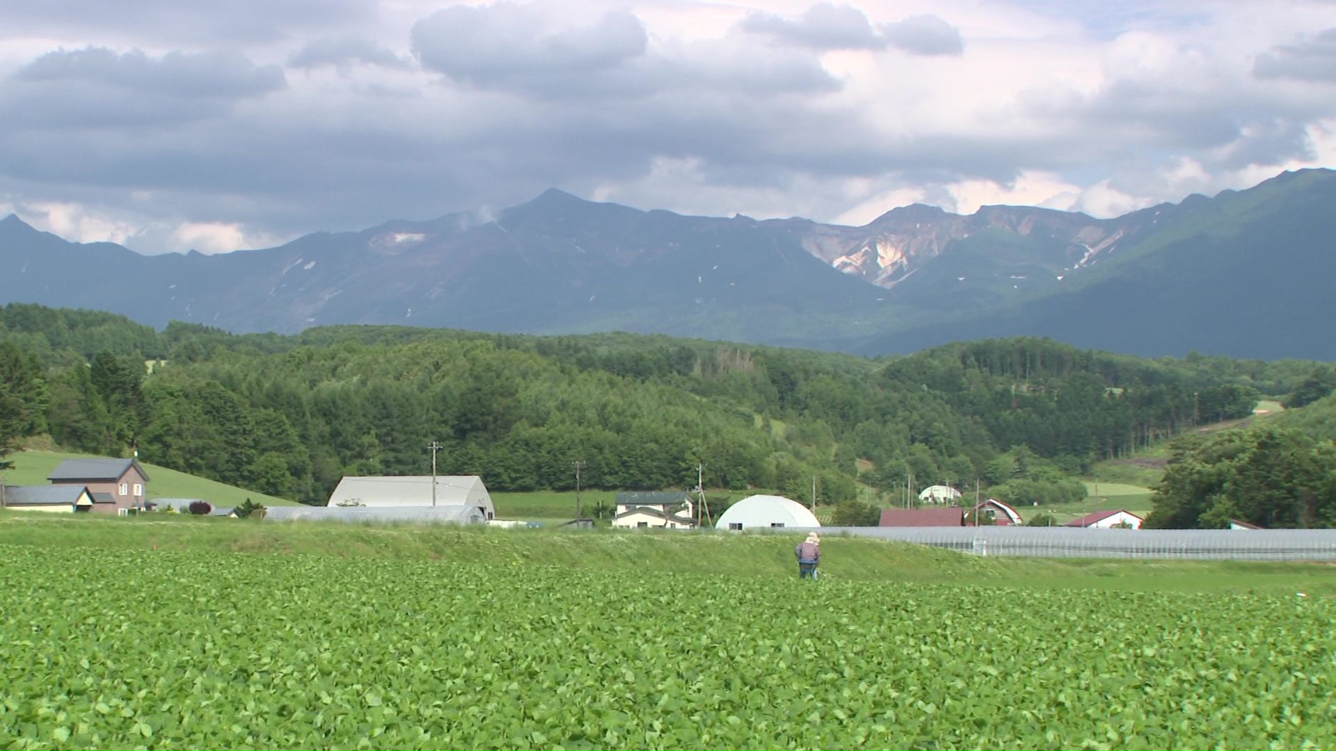 十勝岳連邦の麓にある上富良野町