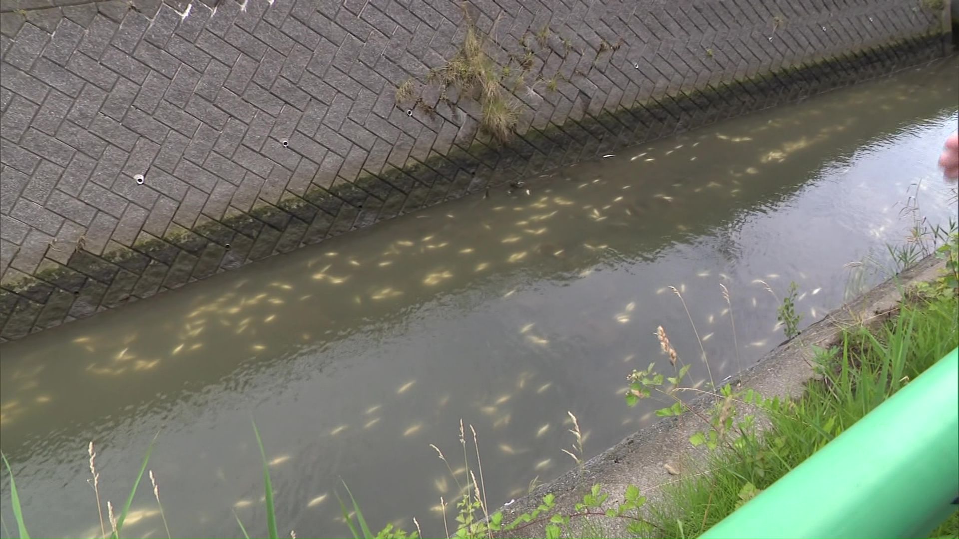 函館市亀田港町を流れる小田島川