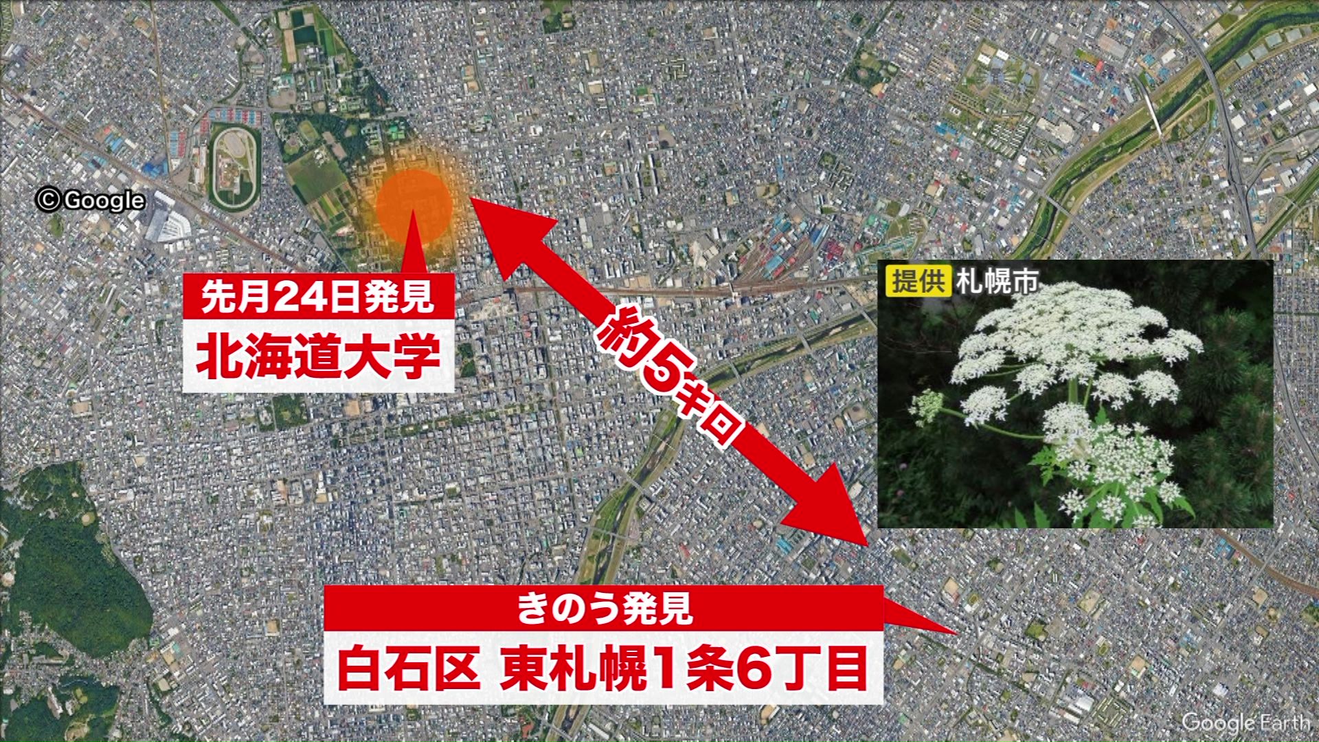 北海道大学からは直線距離で5キロ
