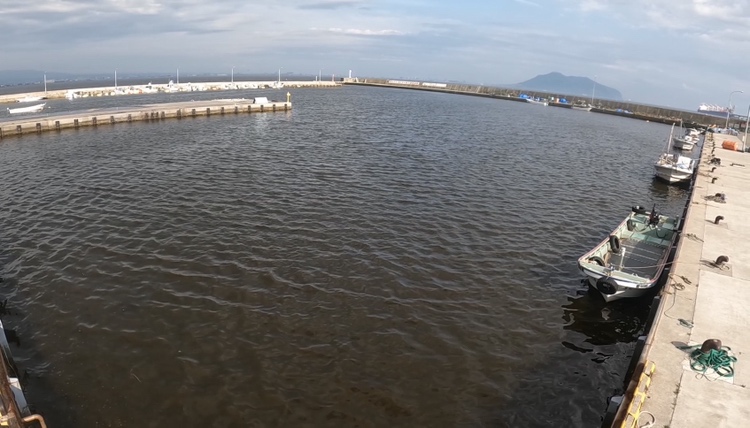 赤潮が確認された北斗漁港