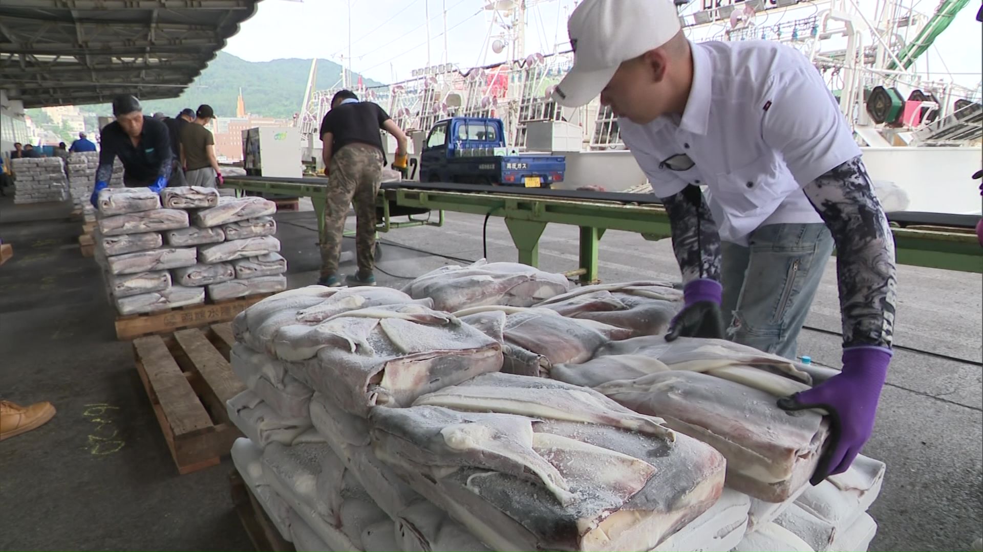 船内で冷凍された8800ケース・約90トンが水揚げ