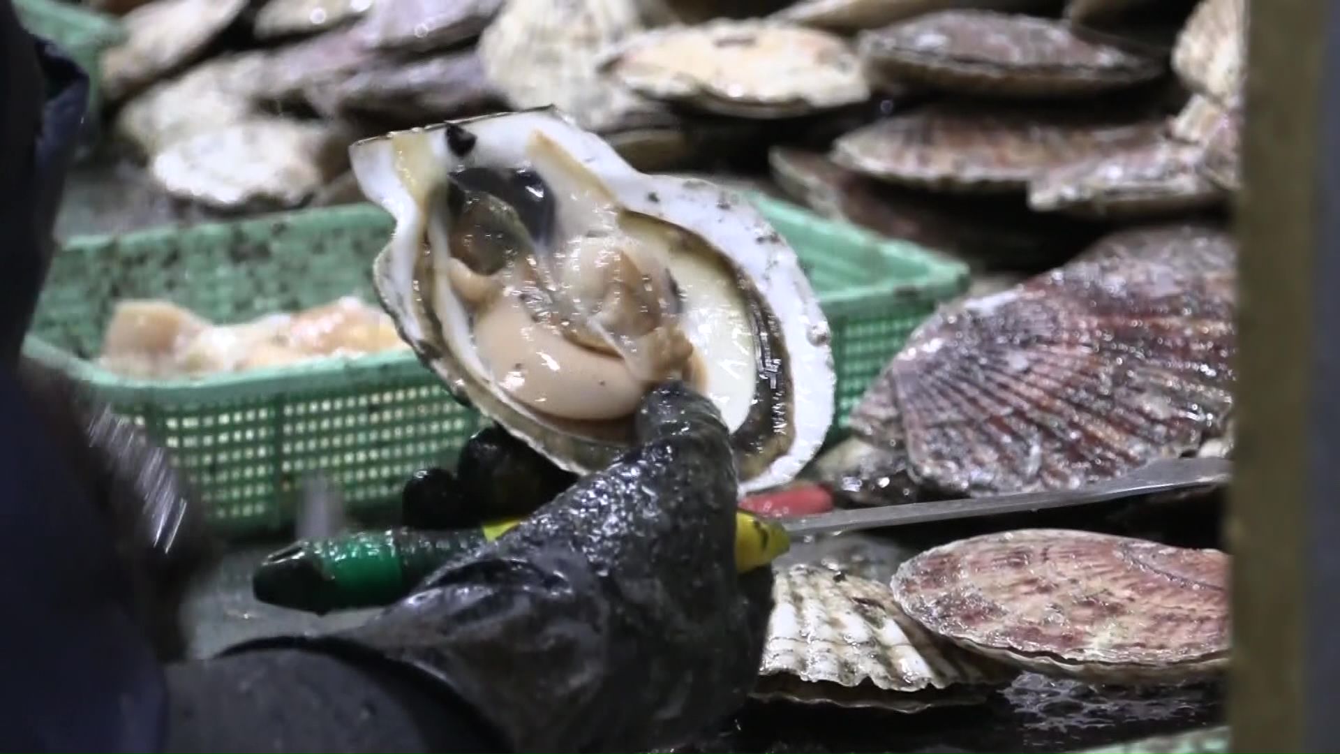 トランプ関税の衝撃が“海の味覚”ホタテ輸出に…