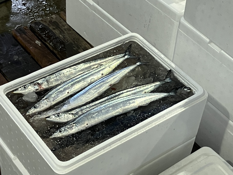 初競りでは1キロ25万円（税抜き）と過去最高値