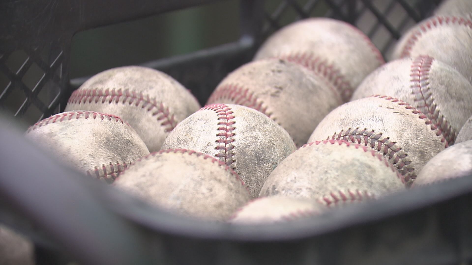 硬式野球ボール