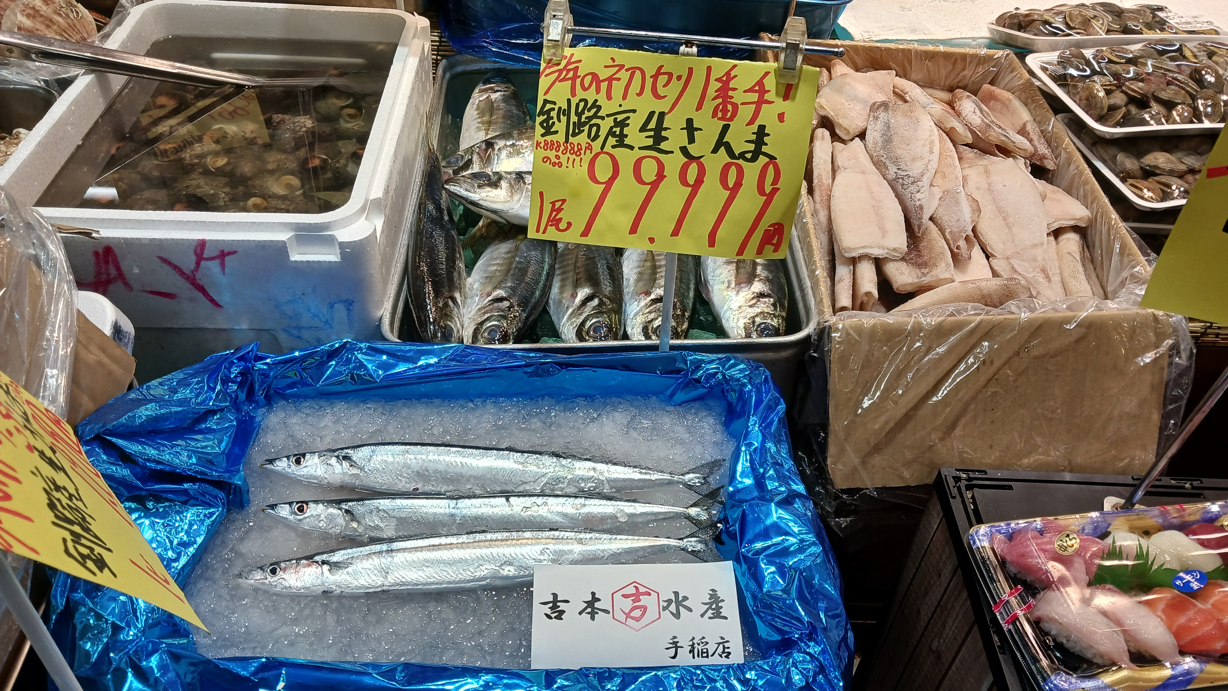 札幌市内の鮮魚コーナーに並んだサンマ…なんと1匹9万9999円