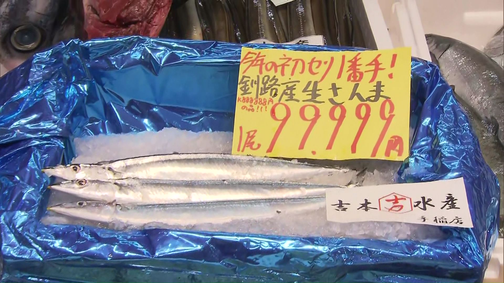 サンマ1匹「9万9999円」