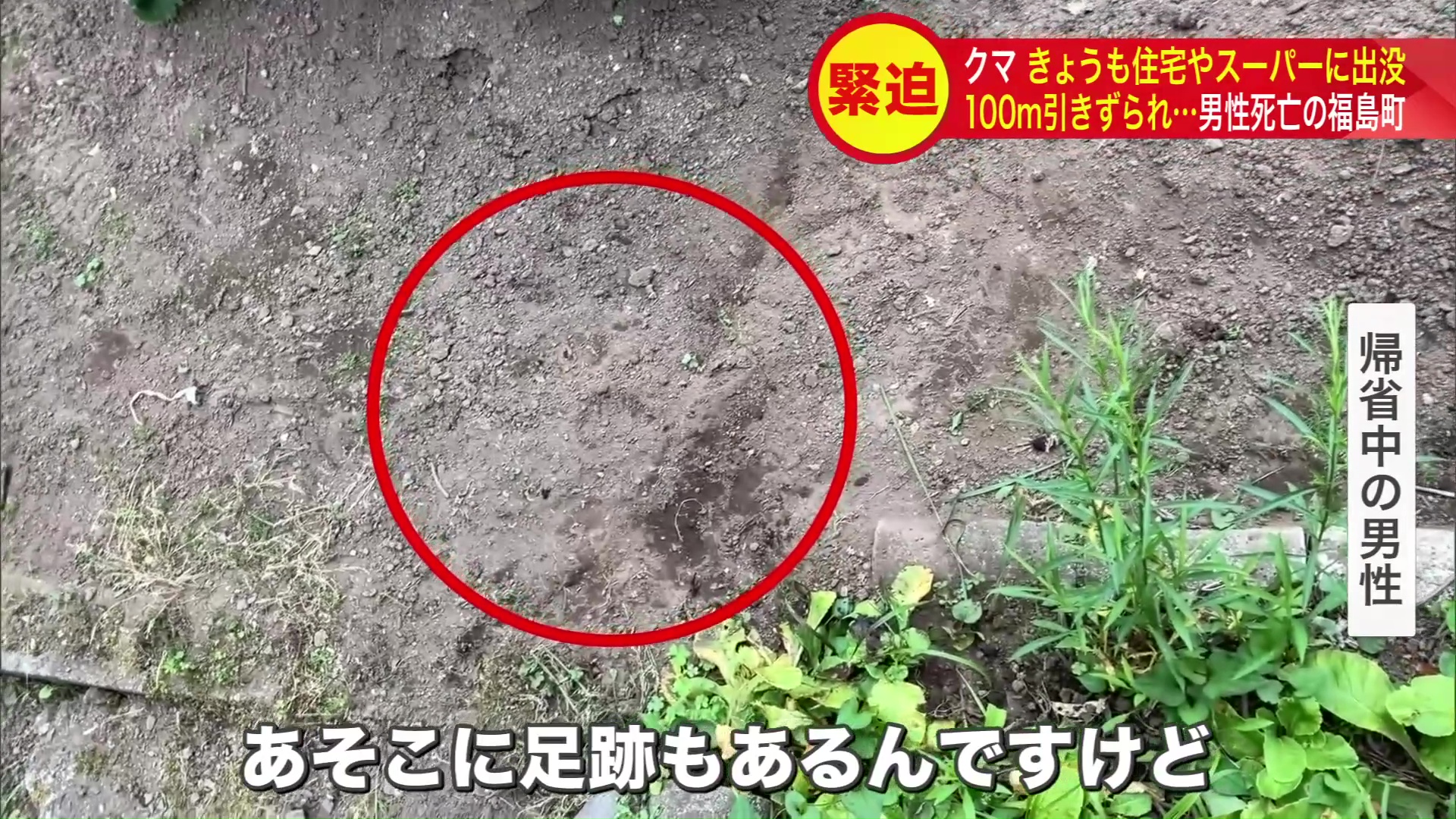 近くには足跡も