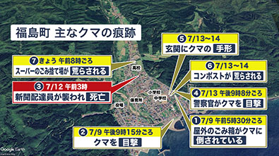 福島町内には多数のクマの痕跡が