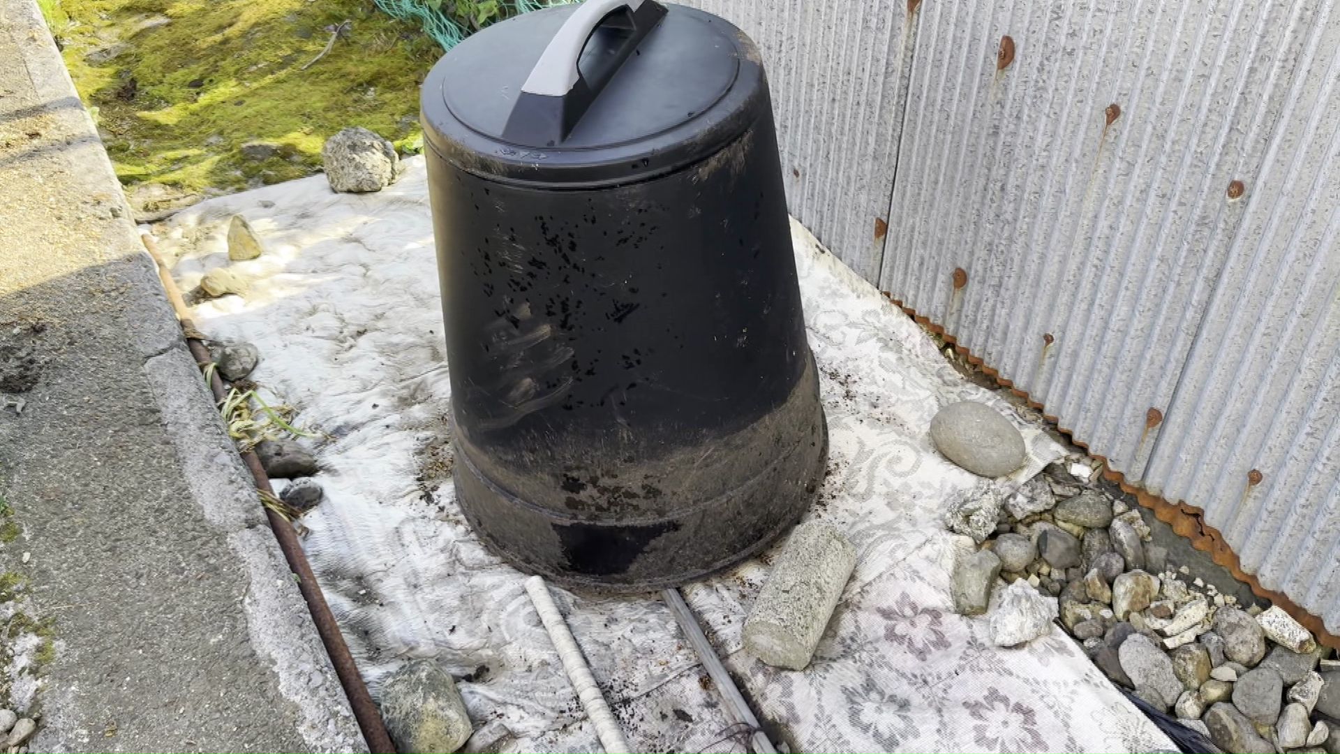 家庭用コンポストも荒らされた