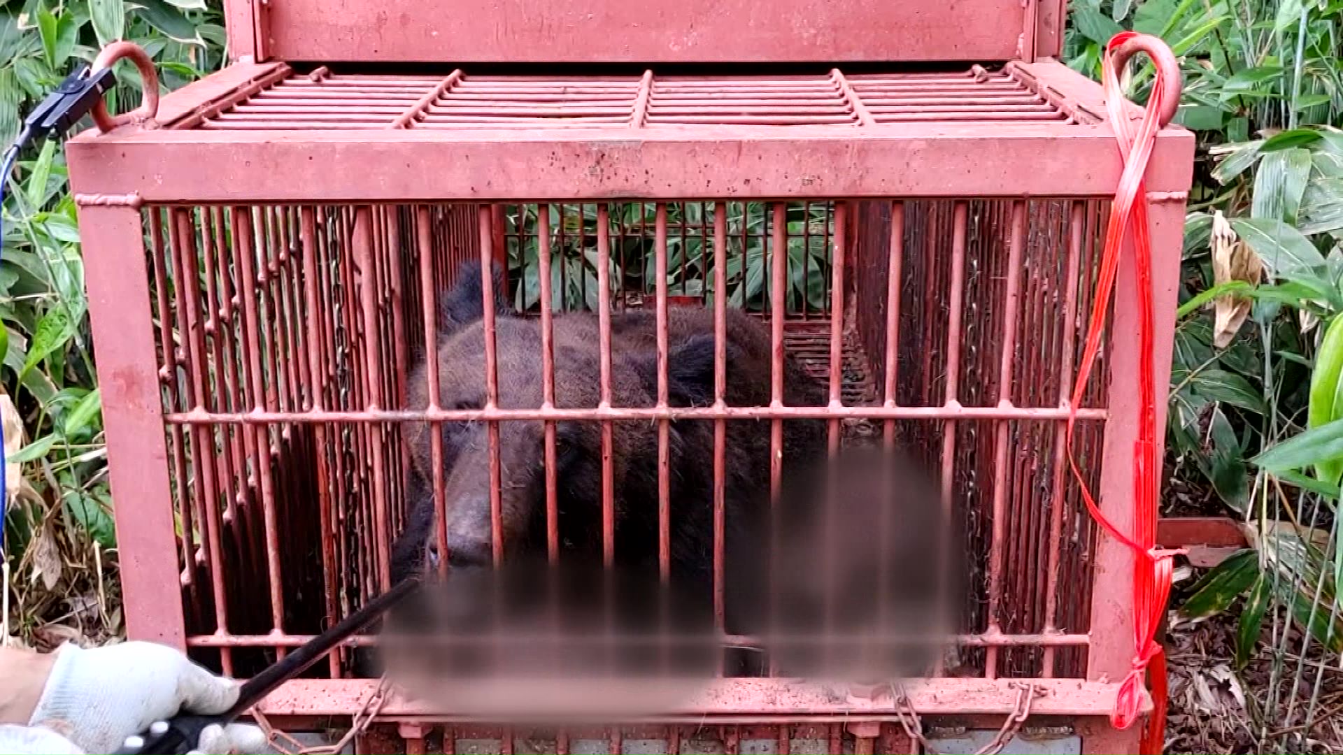 提供：NPO法人ファーミングサポート北海道