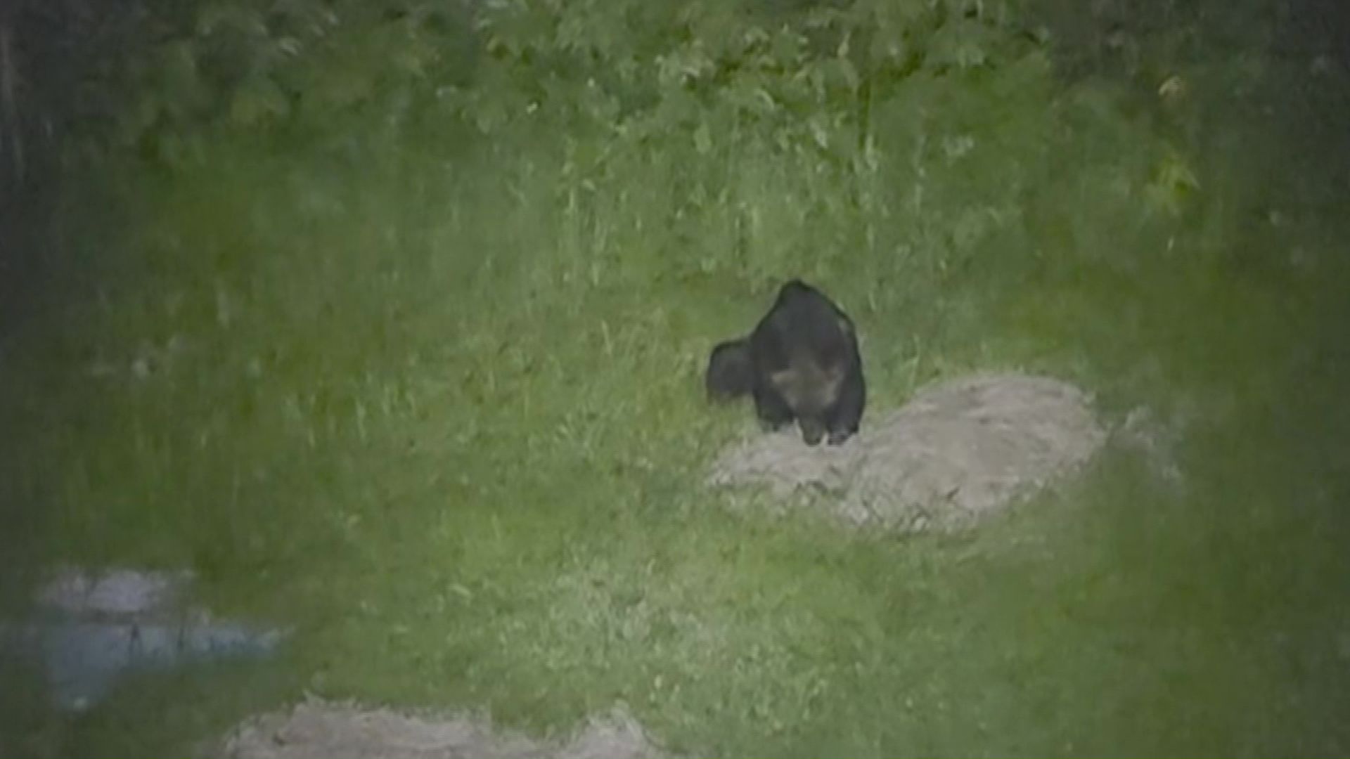 7月10日午後10時30分ごろ （撮影：視聴者）